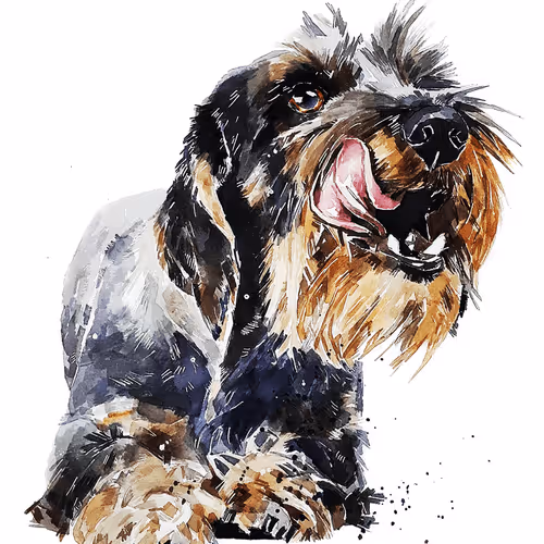 Item #15308155937593783866228062712704217529335676444312394672786838577641949233157 Media