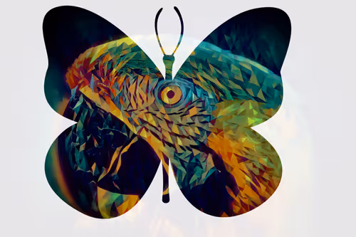 Item #45454897768330312050306327593764042770009243947436545053610604841056186925156 Media