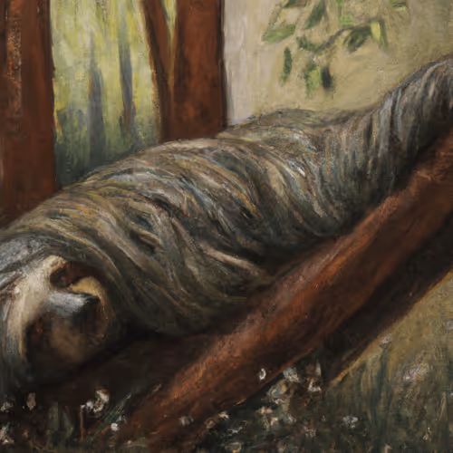 Item #65426327464663455482917791623488013756849554775902811693769175812391567360001 Media