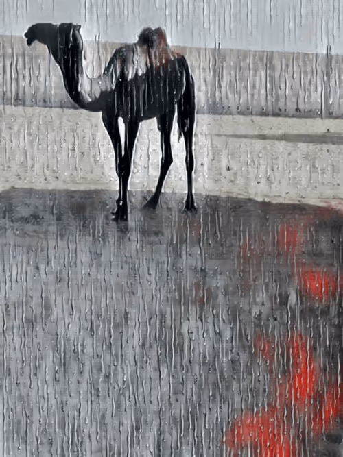 Item #36782780807699903135038144501557320909410292895804866127374726099607633264641 Media