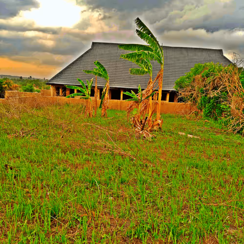 Untitled Collection #286495181