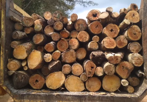 Item #102006201378976520734460731776155729887307616800660626474018585907885942767617 Media