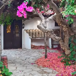 a house in nicosia