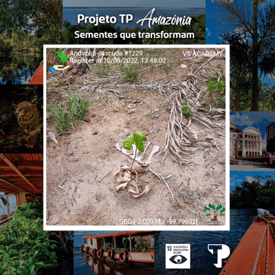 Item #8500196597889277390194123329501889087166328879864934763448348950160151150593 Media