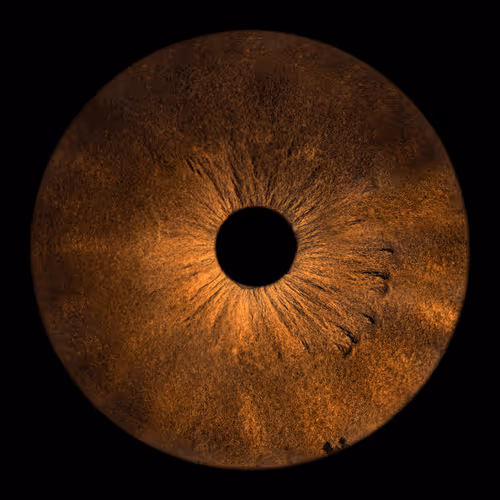 Item #60585293406287995683711008579060673133527978442252609460785685653496029773825 Media