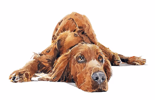 Item #15308155937593783866228062712704217529335676444312394672786838679896530616321 Media