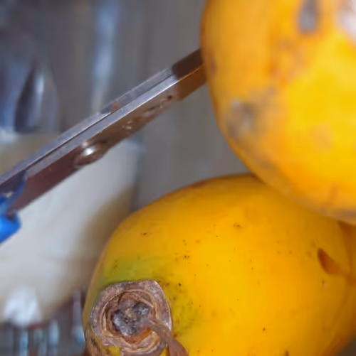 Item #33221436126685937214107554241783471936180518907109659540291722160706619965441 Media