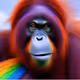 113954598671106522892155558891833601101359871583445945150661054147322716356609