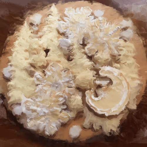 15081463501546268006596121588316872326209313817998412847676537155610828865537