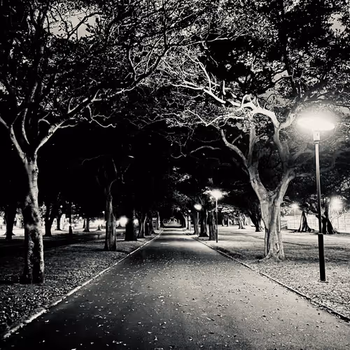 Item #74817359076642782556585350322471739713426593632609016310354114335607026089985 Media