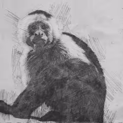 11276162529628641556553056529614973332754405277106184420845745149966010023937