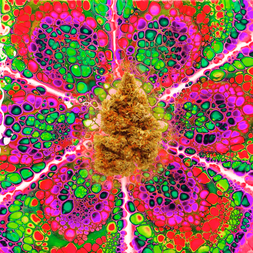 Item #13955282856406335165414100891374623718709547313428947888299034001136787914757 Media