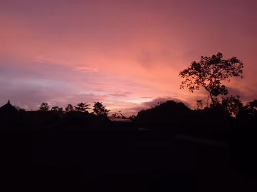 Untitled Collection #128328812