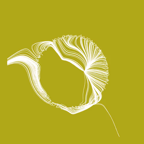 Item #92894242093795326381736893620758818481744636716678827475131324265721820610561 Media