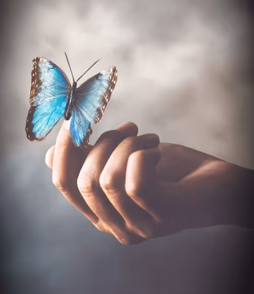 Item #7967234913284806792254937895546246199086792392198205992611414425248911589386 Media