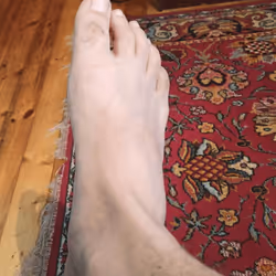 BigFoot