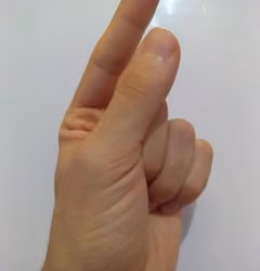 fingertip225