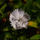 75818501196032220711141034898538402848891086585736533222093607960599404216321