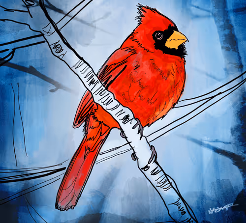 Item #51464101640567295750175716145690214715071691539704877762689940195487546081281 Media