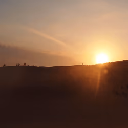 Sun Sets #009