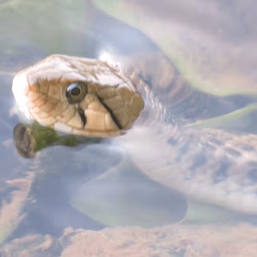 Untitled Collection #206392727