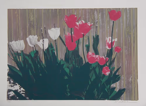 Item #72925079646173943955019179802066495558357068765344184678483369503401715957770 Media