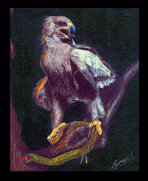 Item #88392049109375850439574262012811564620955616675651121480724544709396365574145 Media