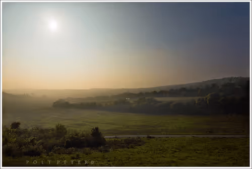 Nature Photographer 177169894