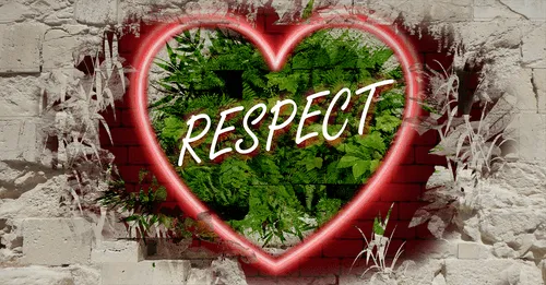 Item #68053287575525751288269231675427811746861684968250582901590729405616160243812 Media