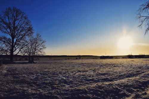 Item #25048395052866519615583306303043483840076282884633851044387431713580548882433 Media