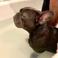 99031261785432219130552668818269695456905868997165113515571762524859905605633