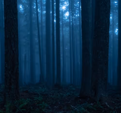 2005862319158051831365229387864138466486092287762213337058068731823654961153