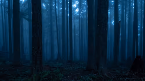 Item #2005862319158051831365229387864138466486092287762213337058068731823654961153 Media