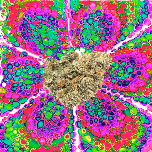 13955282856406335165414100891374623718709547313428947888299033917573904203786