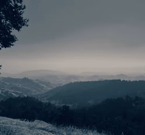 2005862319158051831365229387864138466486092287762213337058068758211934027777