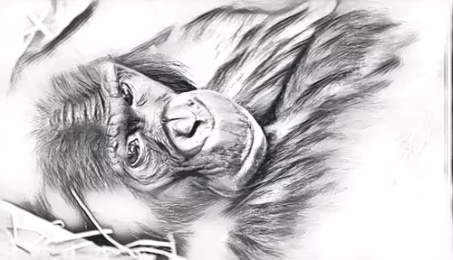 Item #54593652383459731767777383320415424164820202733853921615926635506829637976065 Media