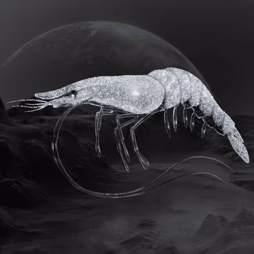 Item #105762233384062999016741843726338797695474386026333060607150235664542167213841 Media