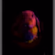 99650105096816163496474084497643236209470819814416644438757201837072947609601