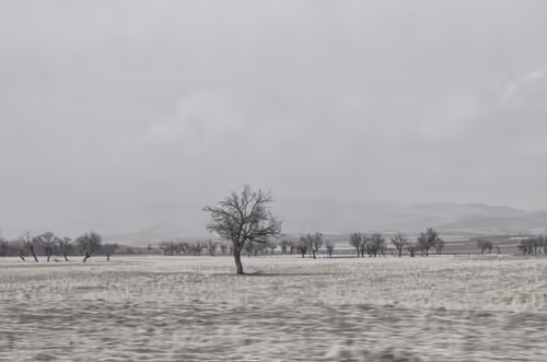 Item #88588118460762935851954819290277197949236789267554687293919040392442652131329 Media