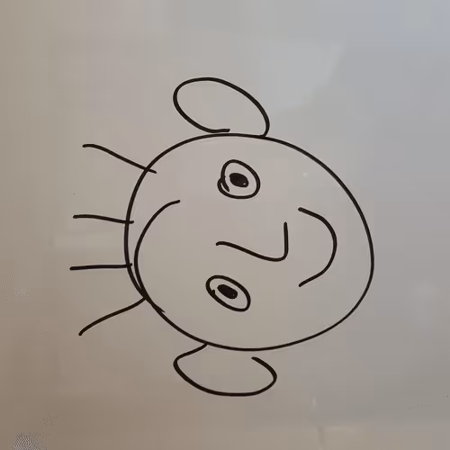 Untitled Collection #3658657004