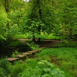 so much green i can smell the air