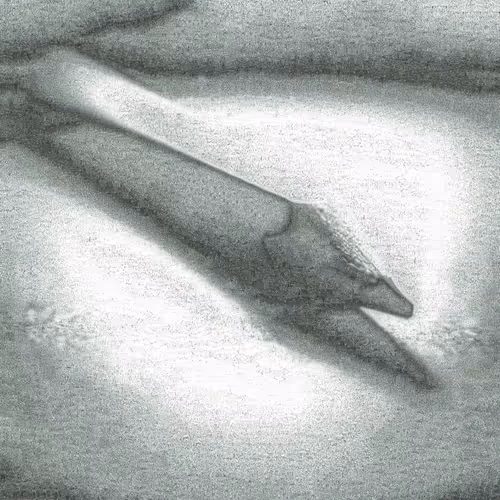 Item #80092882259493367463484569941862688859981243870241048997485309326429842833409 Media