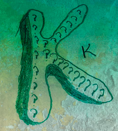 Item #108485984571547763915638911530400574497135662005410643450210329854627165503489 Media