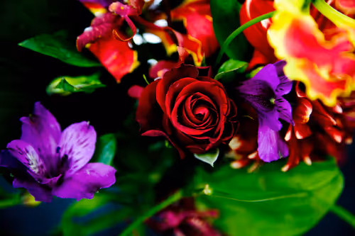 Item #12410577085583635741847651053181208342609125987671627115778380788803066396673 Media