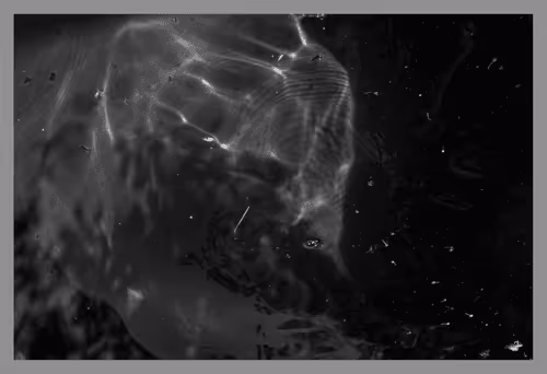 Item #39235584922614142939660206561436219704889843519746520476094237017932361105409 Media