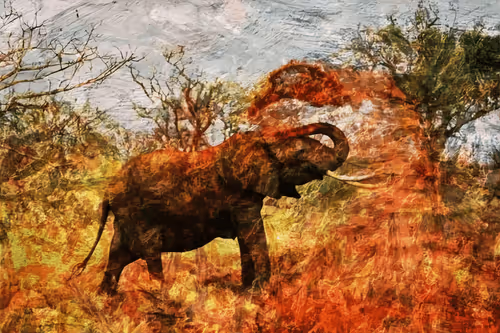 Item #77955866886837664249464405482642623658343836154903602298998820006592977568077 Media