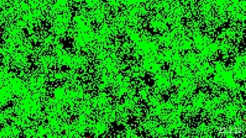 Item #90164163576316385141041247237889053014982602808452359461523260182533425332225 Media