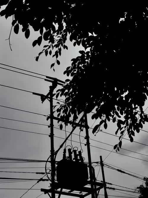 Item #95969751355456896941203976858698883451620687351810404751829047467871010029569 Media