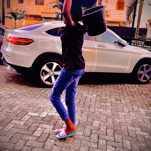 Untitled Collection #295559837