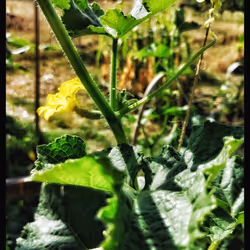 3787080761074609709675817509753112159059746763483256848434354000899593994241